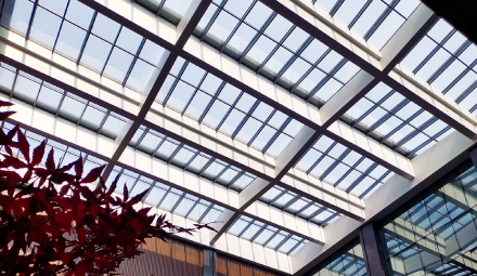 vacuum glass|vacuum insulated glass|tempered vacuum insulated glass